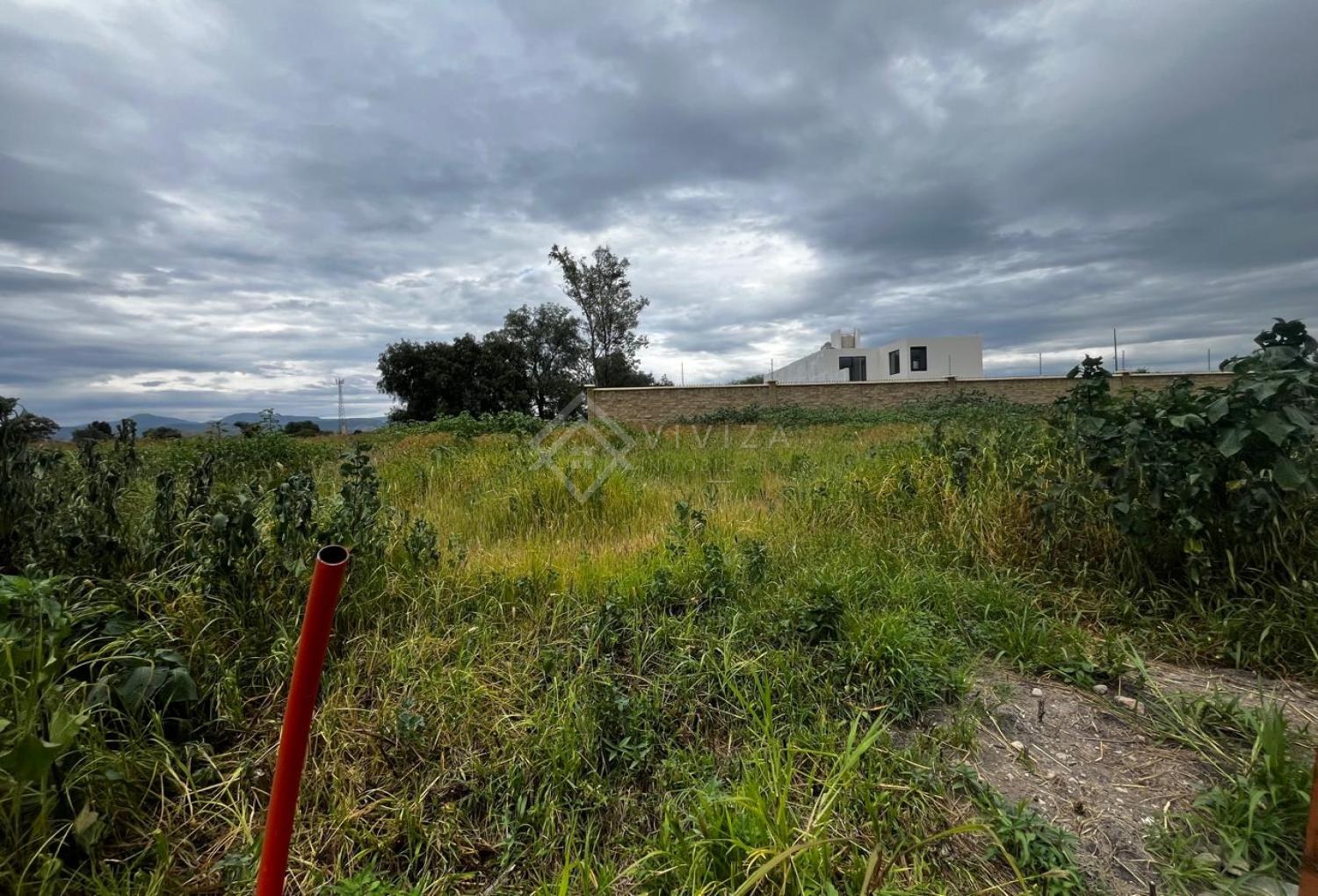 Terreno en Renta en El Mayorazgo, León